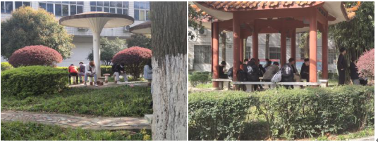 亚洲Av无码精品国产精品成人