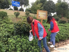 亚洲Av无码精品国产精品成人