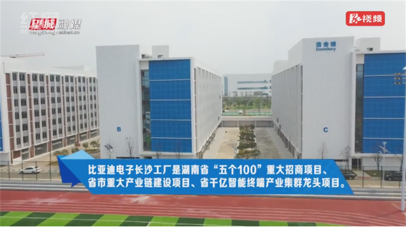 亚洲Av无码精品国产精品成人