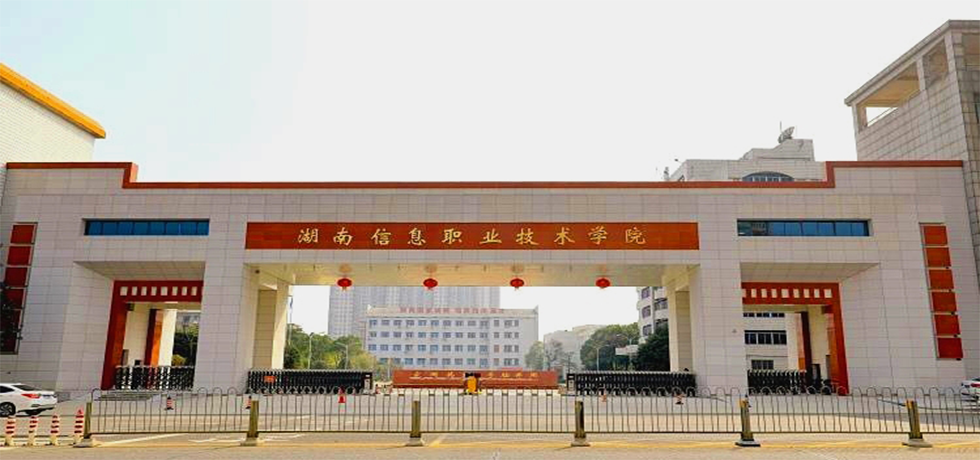 亚洲Av无码精品国产精品成人